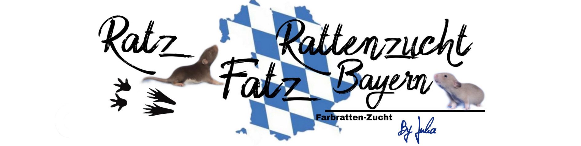 Ratz Fatz Rattenzucht Bayern